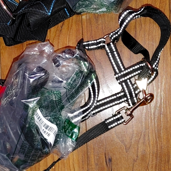DOG muzzle four leashes dog shoes all new - Picture 4 of 5